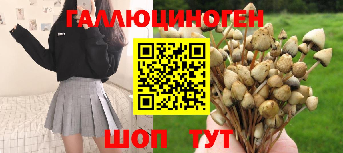 Салават  Галлюциногенные грибы мухоморы  Вход с VPN 